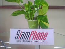  Phono M2 - โฟโน่ M2