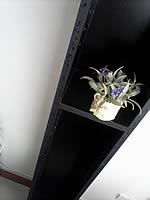  Samsung Champ C3303K - ซัมซุง