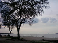 Samsung SCH-M519 (Hutch) - ซัมซุง SCH-M519 ฮัทช์