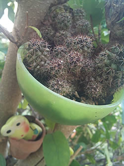 Sony Ericsson Xperia X10 - โซนี่ อีริคสัน X10