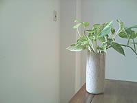 Wellcom A66 - เวลคอม A66