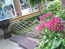 WellcoM A68 - เวลคอม A68