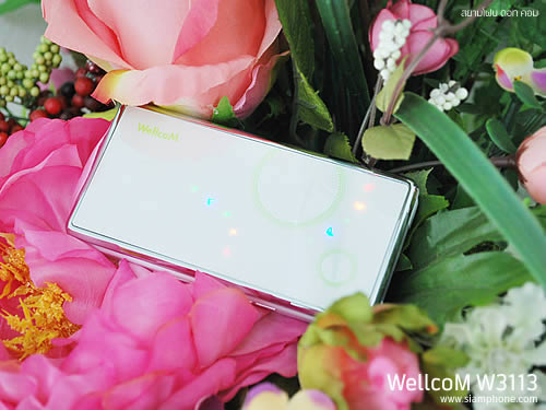 Wellcom W3113 - เวลคอม W3113