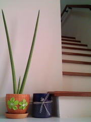 Acer Liquid Metal - เอเซอร์ Liquid Metal