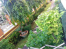 i-mobile i651 Android - ไอโมบาย i651 แอนดรอยด์