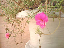 i-mobile S390 - ไอโมบาย S390