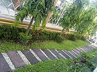 i-mobile S531 - ไอโมบาย