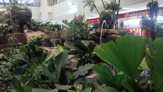 Motorola RAZR - โมโตโรล่า ราซร์