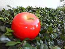 Philips Xenium F511 - ฟิลิปส์ Xenium F511