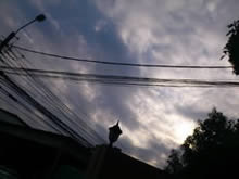 Sony Ericsson Xperia arc - โซนี่ อีริคสัน arc