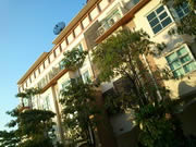 Sony Ericsson Xperia Neo V - โซนี่ อีริคสัน Xperia Neo V