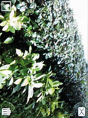 Sony Ericsson Yendo - โซนี่ อีริคสัน Yendo