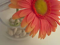 Wellcom A100 - เวลคอม A100