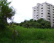 Wellcom M3 Mobile Purse - เวลคอม