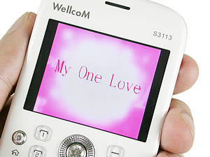 Wellcom S3113 - เวลคอม S3113