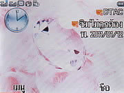 WellcoM S5115 Proud collection - เวลคอม