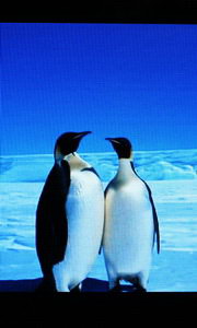 Wellcom S9119 - เวลคอม S9119