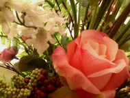 Wellcom S9119 - เวลคอม S9119