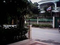 ZYQ DX320 - แซดวายคิว 