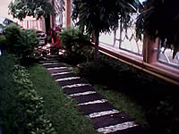 ZYQ DX320 - แซดวายคิว 