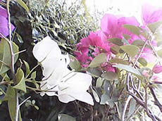 ZYQ Q1802 FM - แซดวายคิว Q1802 FM