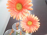 ZYQ Q2425 Puff 3 - แซดวายคิว Q2425 Puff 3
