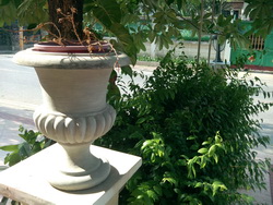 ASUS Eee Pad Transformer Prime - อัสซุส