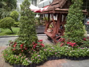 BlackBerry  Bold 9790 - แบล็คเบอร์รี่ Bold 9790