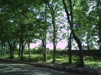 Coby Kyros 9742 Tablet - โคบี้ Kyros 9742 Tablet