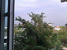 Dell Latitude ST - เดลล์ Latitude ST