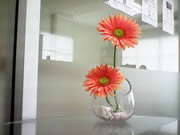 GNET G-Pad 7.0 Explorer II