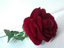 Huawei IDEOS X3 - หัวเหว่ย U8510 IDEOS X3