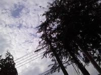 i-mobile i695 - ไอโมบาย i695