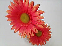 Infinity ASIAN - อินฟินีตี้ ASIAN