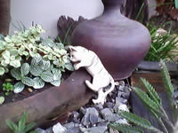 Infinity M-Berry Plus - อินฟินีตี้ M-Berry+