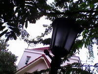 Infinity M-Berry Plus - อินฟินีตี้ M-Berry+