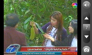 oppo_ find_my_guitar - ออปโป้ไฟน์มายกีต้าร์ r8015