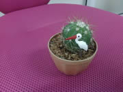 Motorola Defy XT - โมโตโรล่า Defy XT