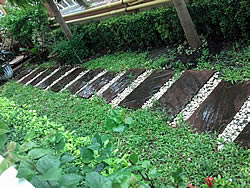 Motorola RAZR MAXX - โมโตโรล่า RAZR MAXX