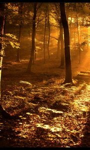 Oppo Find Gemini - ออปโป้ U7011