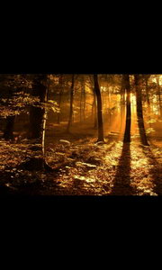 Oppo Find Gemini - ออปโป้ U7011