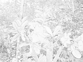 Oppo Find 3 - ออปโป้ Find 3