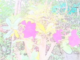 Oppo Find 3 - ออปโป้ Find 3