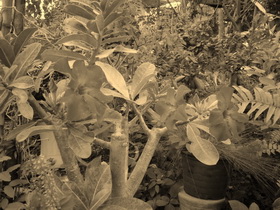 Oppo Find 3 - ออปโป้ Find 3