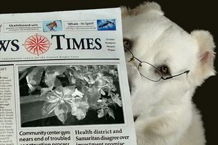 Oppo Find 3 - ออปโป้ Find 3