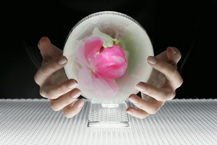 Oppo Find 3 - ออปโป้ Find 3