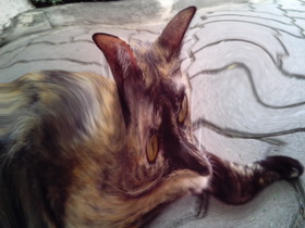 Oppo Find 3 - ออปโป้ Find 3