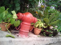 Oppo Find Gemini - ออปโป้ U7011