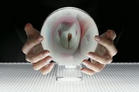 OPPO Find my Guitar - ออปโป้ R8015