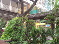 OPPO Find my Guitar - ออปโป้ R8015